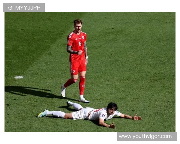 卡塔尔与伊朗激战精彩瞬间回顾视频全景呈现