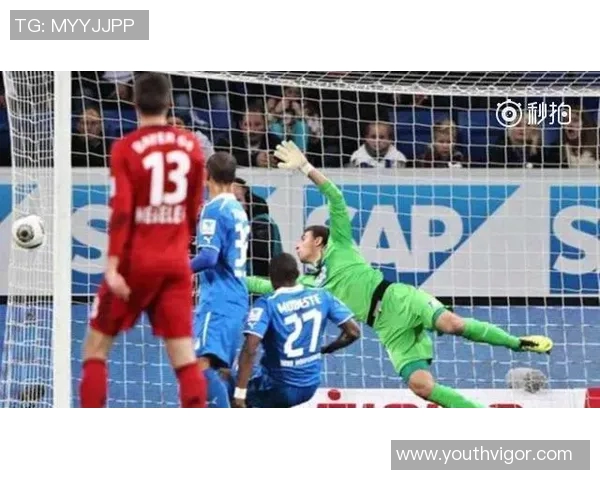 多特蒙德与霍芬海姆激战在即球迷期待精彩对决与进球盛宴